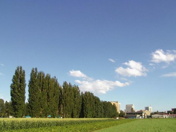 Sapporo Clark Hotel Екстер'єр фото